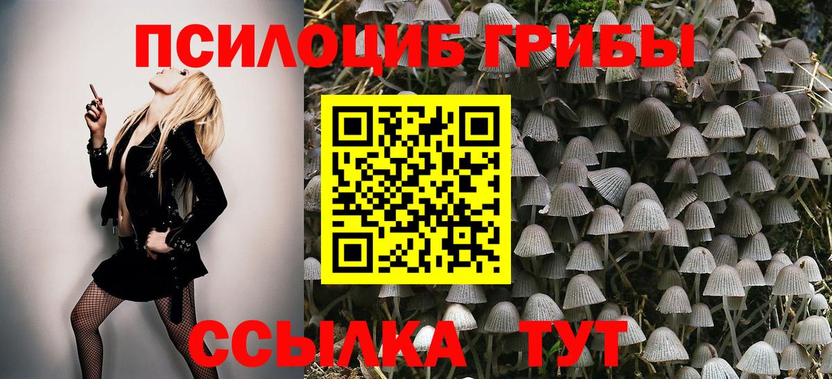 Новоалтайск  Галлюциногенные грибы MAGIC MUSHROOMS  Вход с VPN  Галлюциногенные грибы мицелий 