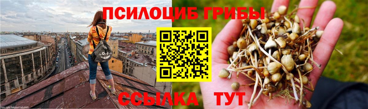 Псилоцибиновые грибы ЛСД Новоалтайск