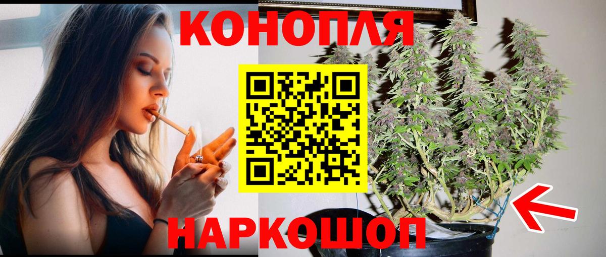МАРИХУАНА конопля Новоалтайск